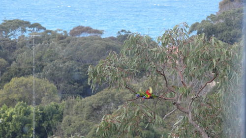 View of a bird on the beach