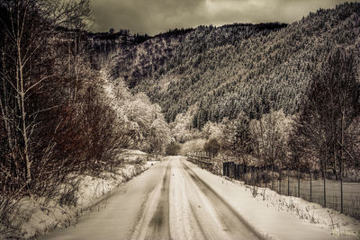 Road amidst trees against sky during winter