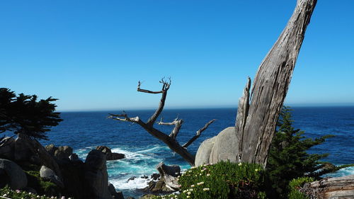 Scenic view of sea against clear blue sky