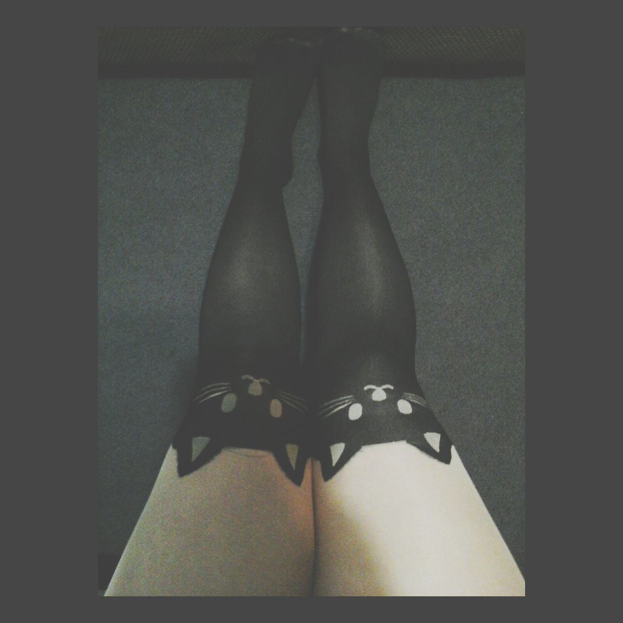 Cat tights