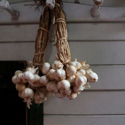 Close-up of white flowers hanging on wood