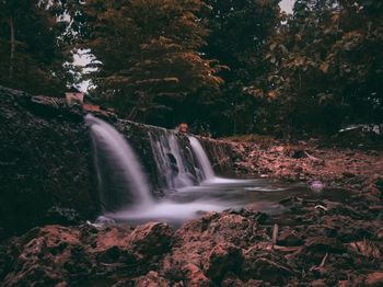 Scenic view of waterfall in forest during autumn