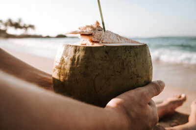 Close-up of hand holding ice cream at beach against sky