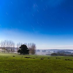 Scenic view of grassy field against clear blue sky