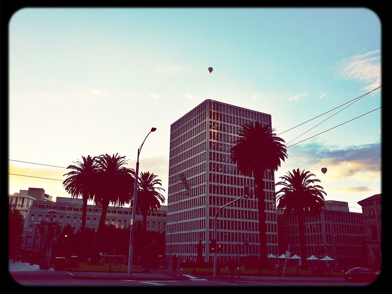 building exterior, architecture, built structure, sky, low angle view, city, transfer print, auto post production filter, tree, sunset, building, street light, cloud - sky, cloud, modern, outdoors, silhouette, bird, palm tree, office building