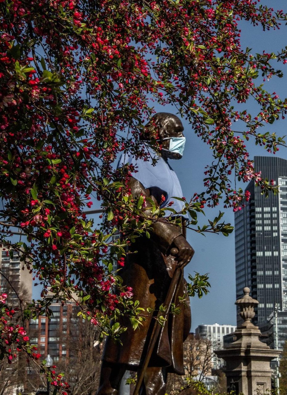 LOW ANGLE VIEW OF STATUE BY BUILDING AGAINST TREE