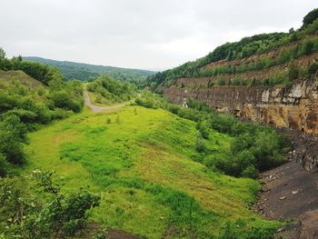 Scenic view of green landscape against sky