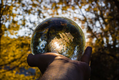 Close-up of man holding glass against trees