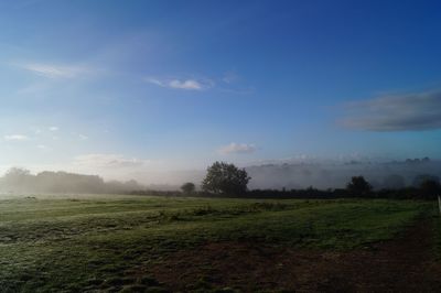 Scenic view of field against sky