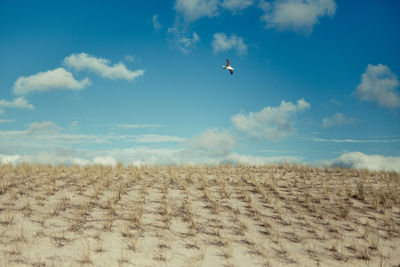 Bird flying over landscape against sky
