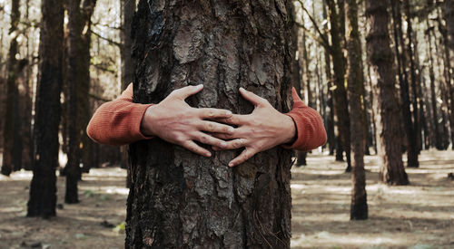 Cropped hand of man standing in forest
