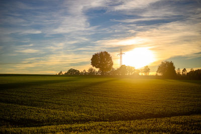 Scenic view of field against sky during sunset