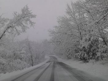 Road amidst trees during winter