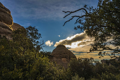 Low angle view of rock formation amidst trees against sky