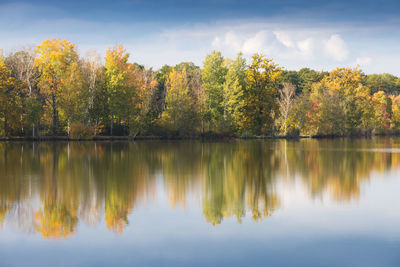 Scenic view of lake by trees against sky