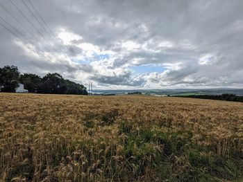 Scenic view of field against sky