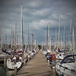 Boats in harbor