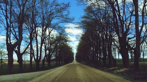 Empty road along trees