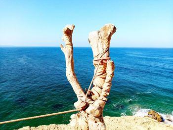 Driftwood on beach against clear sky