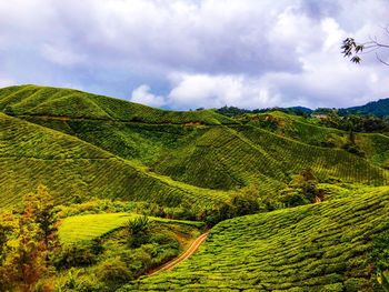 Scenic view of green landscape against sky