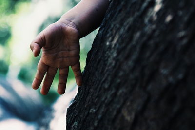 Close-up of human hand by tree trunk