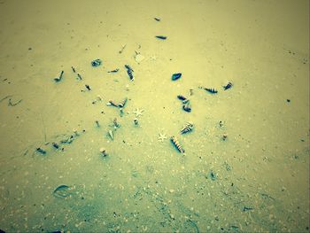 sand