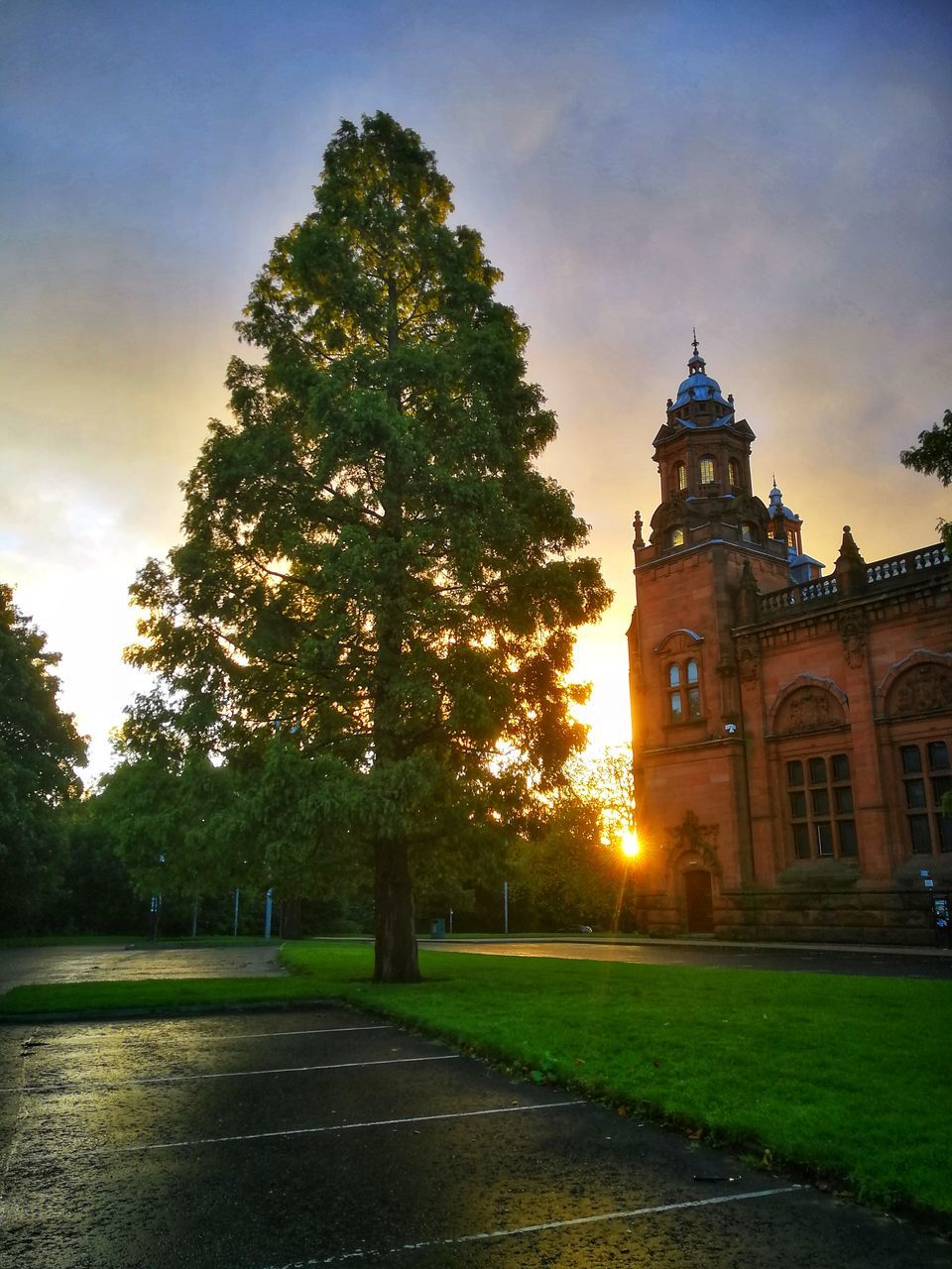 VIEW OF TREES IN CITY