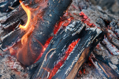 Close-up of logs