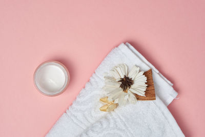 High angle view of pink flower on floor against white background