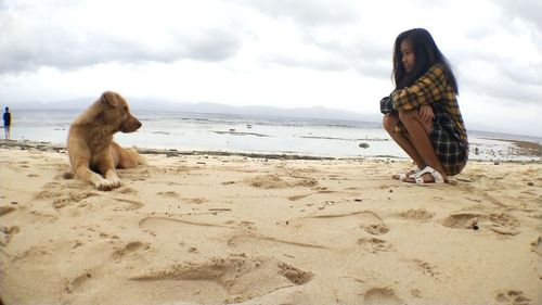 Dog sitting on sand at beach against sky