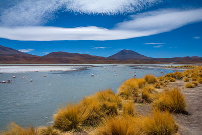 Scenic view of lake against sky