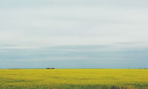 Idyllic shot of rural landscape against sky