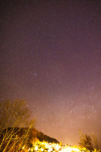 Low angle view of star field against sky at night