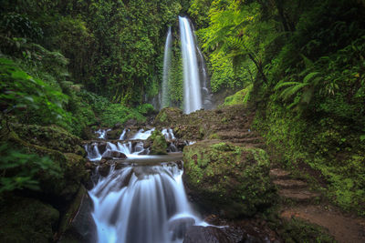 Waterfall in forest