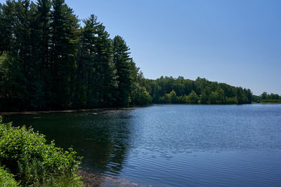 Scenic view of lake in forest against clear sky