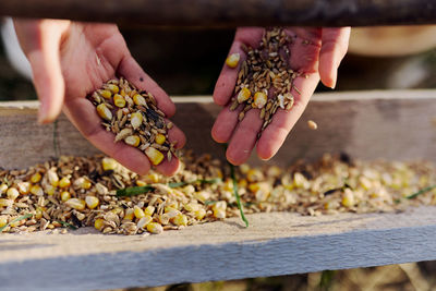 Cropped hand of person holding plant