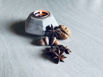 Close-up of seashells on table
