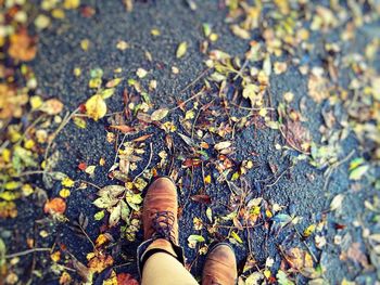 Low section of woman standing on fallen leaves