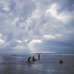 Swans swimming in sea against sky