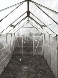 Abandoned greenhouse