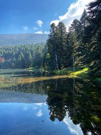 Reflection of trees in lake against sky