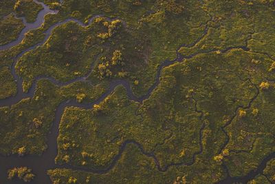 Aerial view of river and landscape