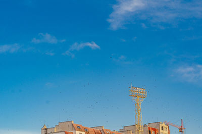 Blue sky in city above building. crane. group of birds sitting in spotlight. birds in air.