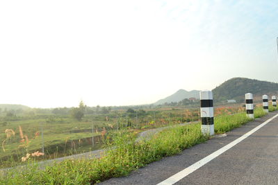 Road amidst green landscape against clear sky