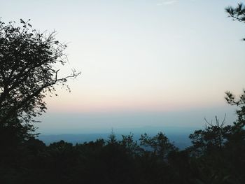 Silhouette trees by sea against sky during sunset