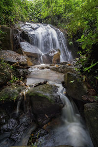 Waterfall in forest