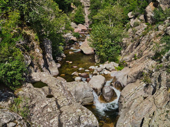 Stream flowing through rocks in forest
