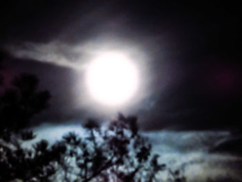 Low angle view of trees against sky during sunset