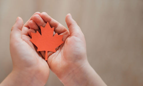 Close-up of person holding hands