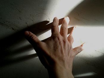 Cropped image of woman